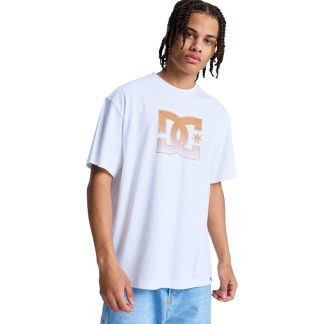MEN’S DC STAR OXIDIZED HERITAGE SHORT SLEEVE TEES